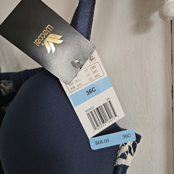 Wacoal Blue And Cream Lace T-shirt Bra. Size 36C - Picture 2 of 5